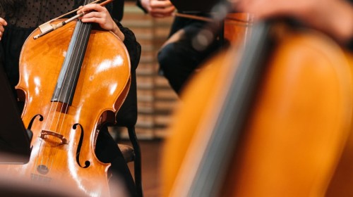 Cello lessons for all levels