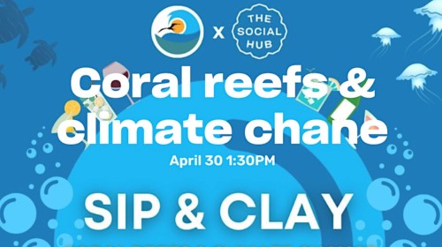 Sip and Clay: Coral reefs and climate change!