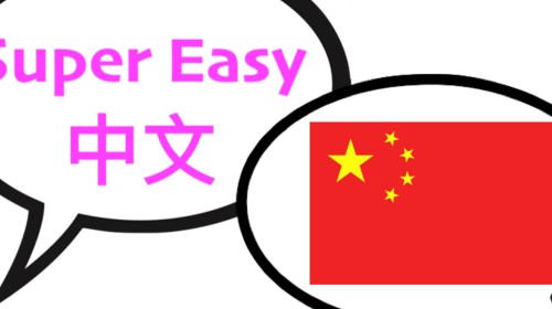 Chinese customized Courses (for all the levels)