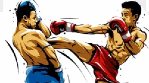 Kickboksen/boksen Personal Training